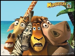 Hipopotan, Madagaskar, Zebra, Żyrafa, Lew