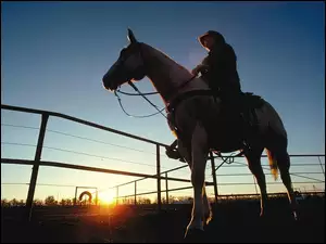 Koń, zachód, jeździec, słońce