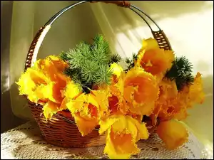 Tulipany, Koszyk, Żółte