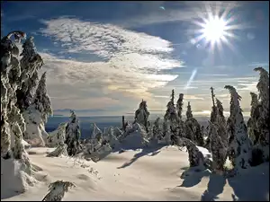 Słońce, Zima, Śnieg