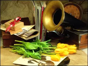 Gramofon, Tulipany