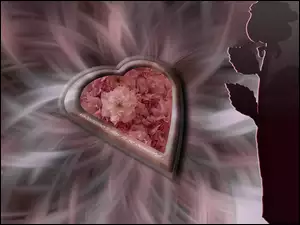 Serce, Róża
