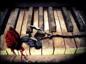 Klawiatura, Róża, Pianino, Krwawa
