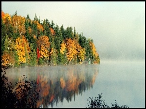 Odbicie, Jesień, Drzewa, Kolorowe, Jezioro