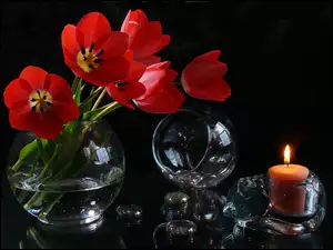 Tulipany, Kula, Dekoracja, Świeca, Czerwone, Szklana