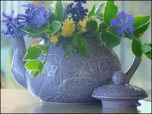 Kwiatki, Dzbanuszek, Niebieskie