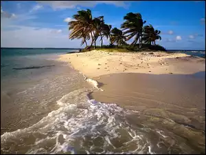 Palmy, Wyspa, Morze