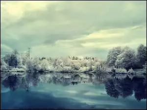 Zima, Ośnieżone, Chmury, Drzewa, Jezioro