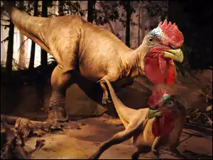 Koguta, Dinozaur, Głowa