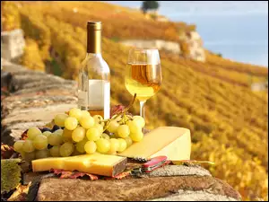 Wino, Winogrona, Żółty, Ser, Scyzoryk