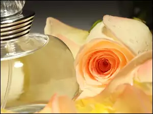 Perfum, Róża, Flakon