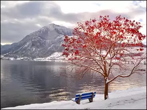 Śnieg, Drzewo, Ławka