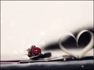 Serce, Długopis, Róża