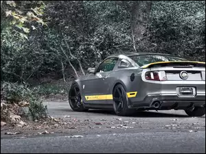 Ford, Chicane, Mustang, Tuning