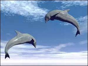 Chmury, Dwa, Delfiny