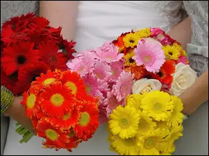 Kwiatów, Kolorowe, Bukiety