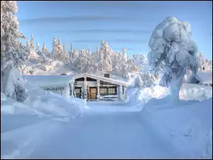Droga, Śnieg, Domek, Drzewa