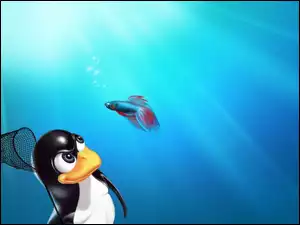 Pingwin, Linux, Ryba, Bojownik
