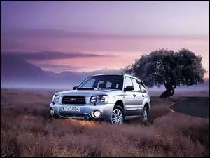 2004, Subaru, Forester
