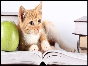 Książki, Jabłko, Kot, Zielone