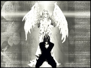 Angel Sanctuary, czarne, anioł, biało