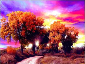 Drzewa, Jesień, Kolorowe, Niebo