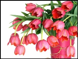Tulipanów, Wazon, Różowych, Bukiet, Różowy