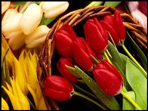 Wiklinowy, Tulipany, Kosz, Kolorowe
