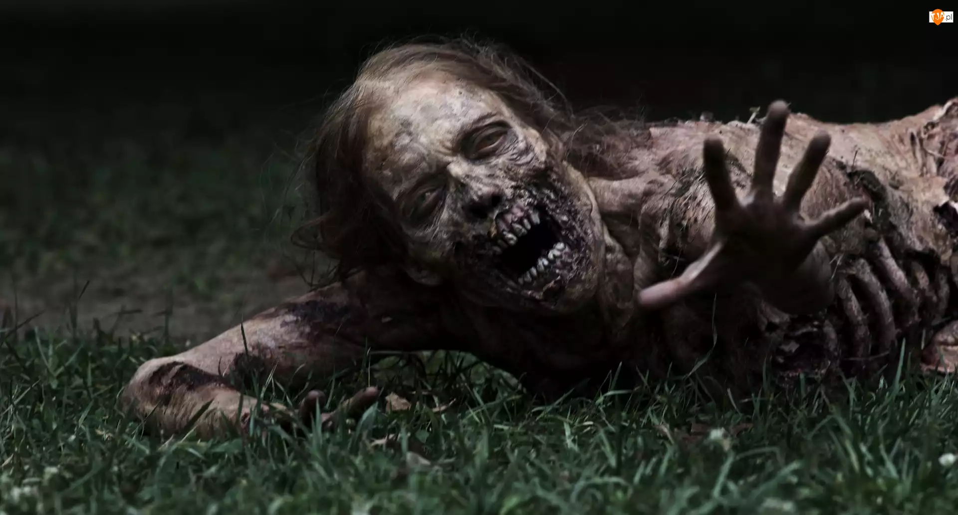 Zombie, The Walking Dead, Żywe trupy, Kobieta