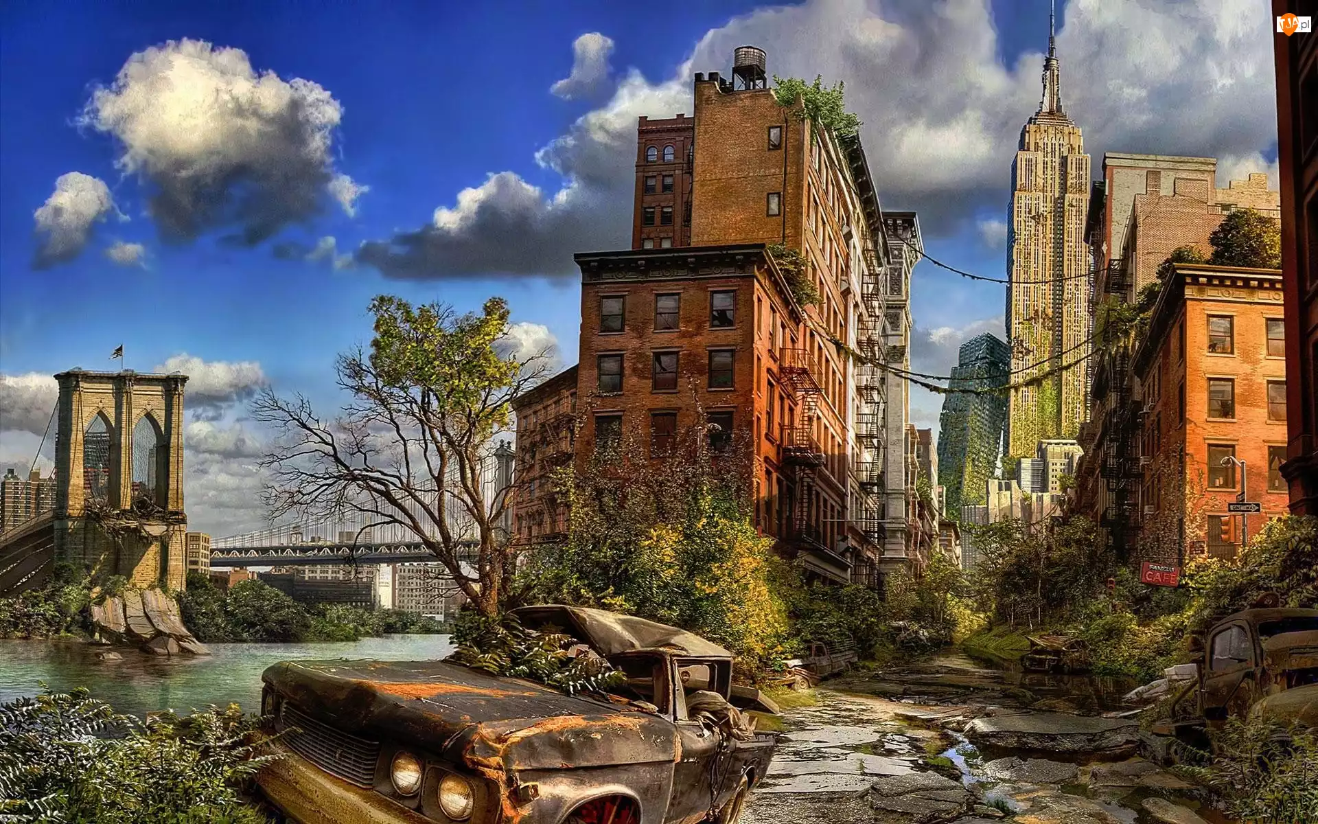 Ruiny, Nowy Jork, Zniszczony, Samochód