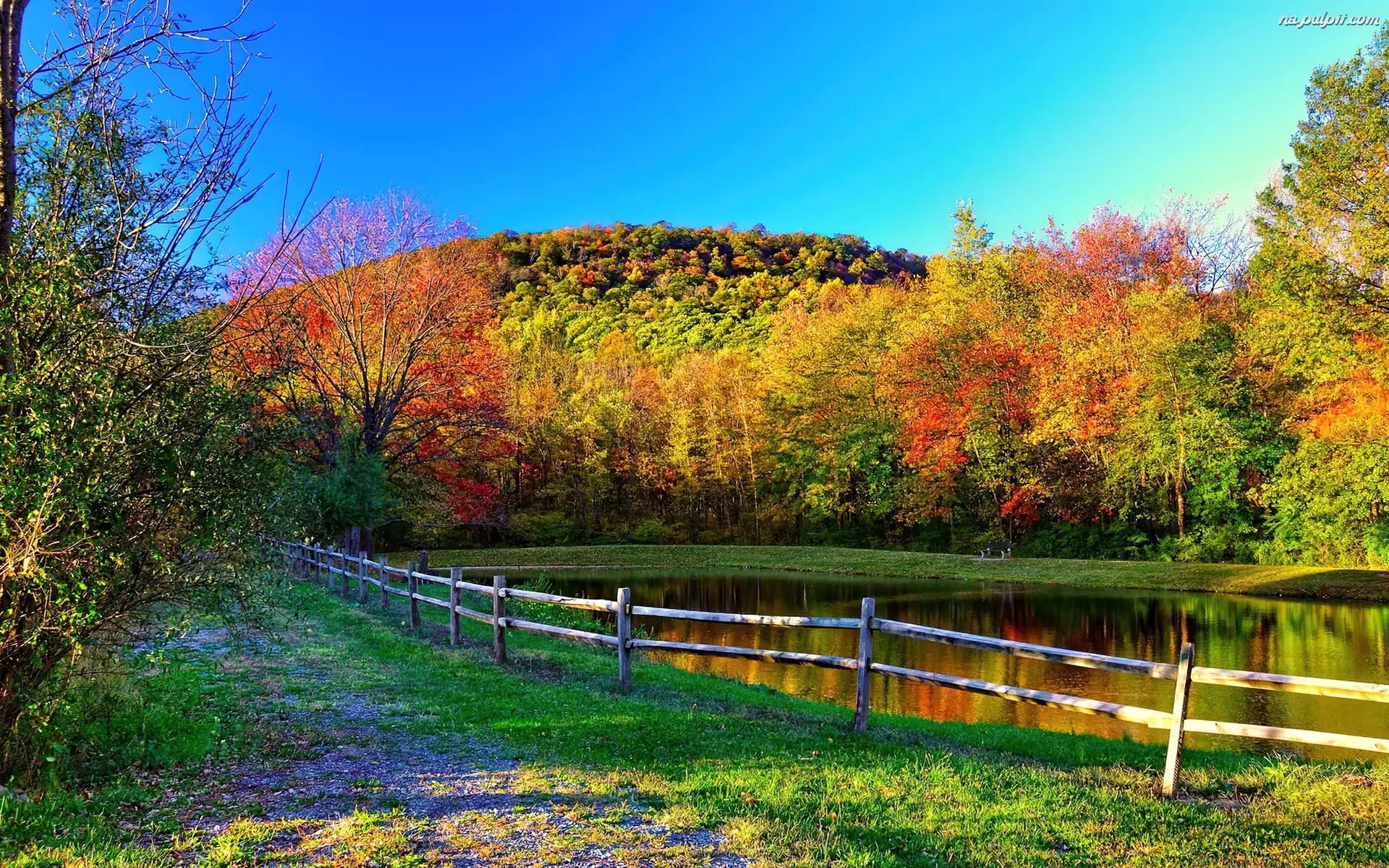 Jezioro, Jesień, Kolorowe, Drzewa