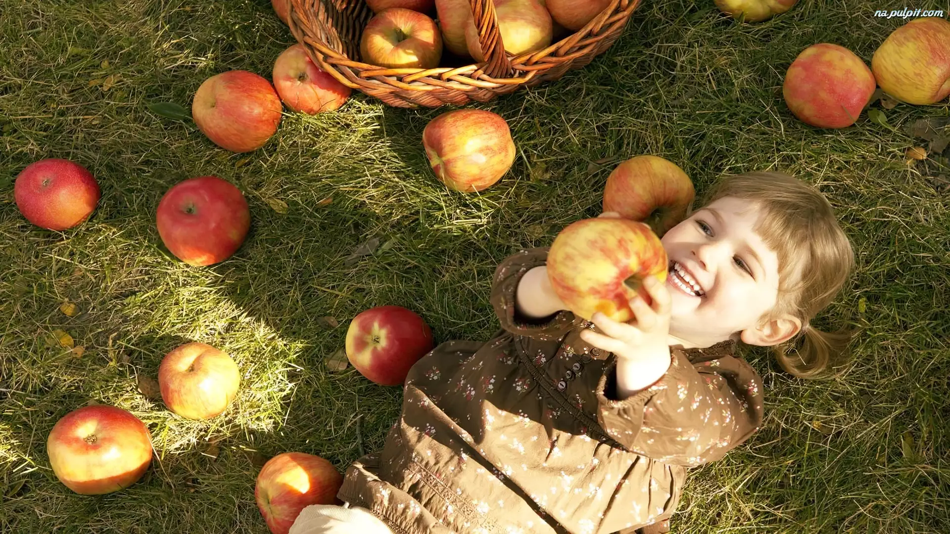 Jabłka, Dziewczynka, Kolorowe