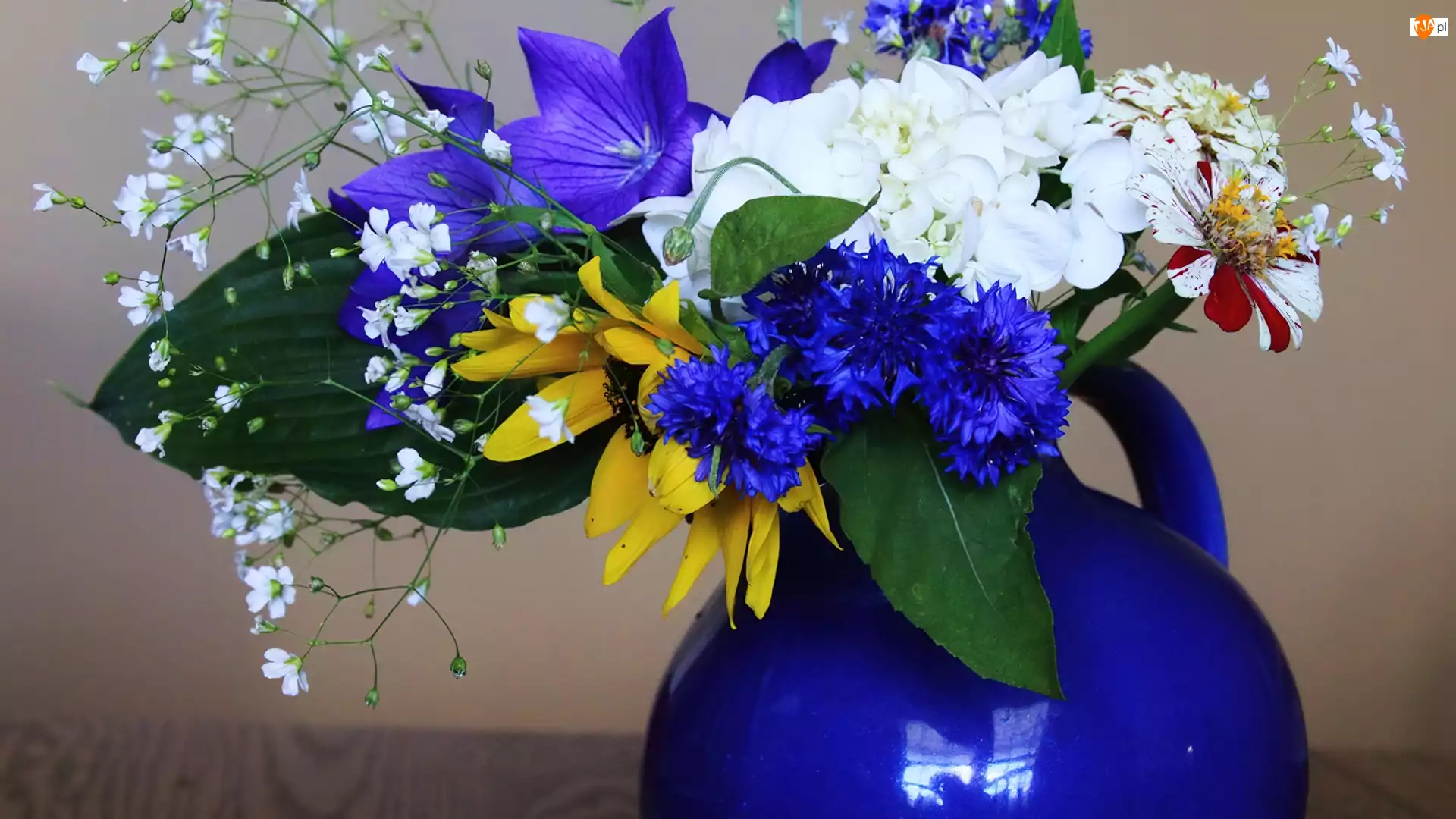 Niebieski, Kwiaty, Flakon, Kolorowe