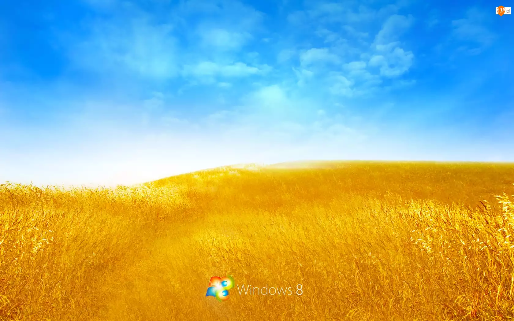 Logo, Łany, Niebo, Zboża, Windows 8