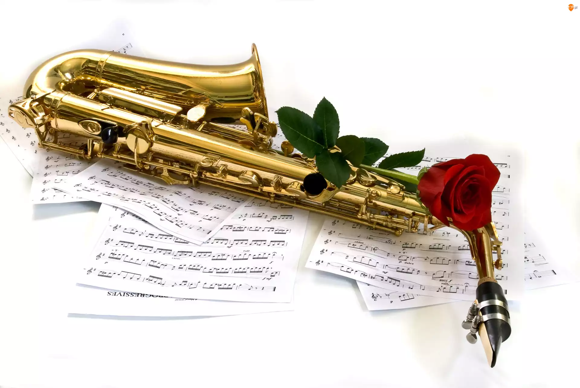 Róża, Instrument, Saksofon, Muzyczny, Nuty
