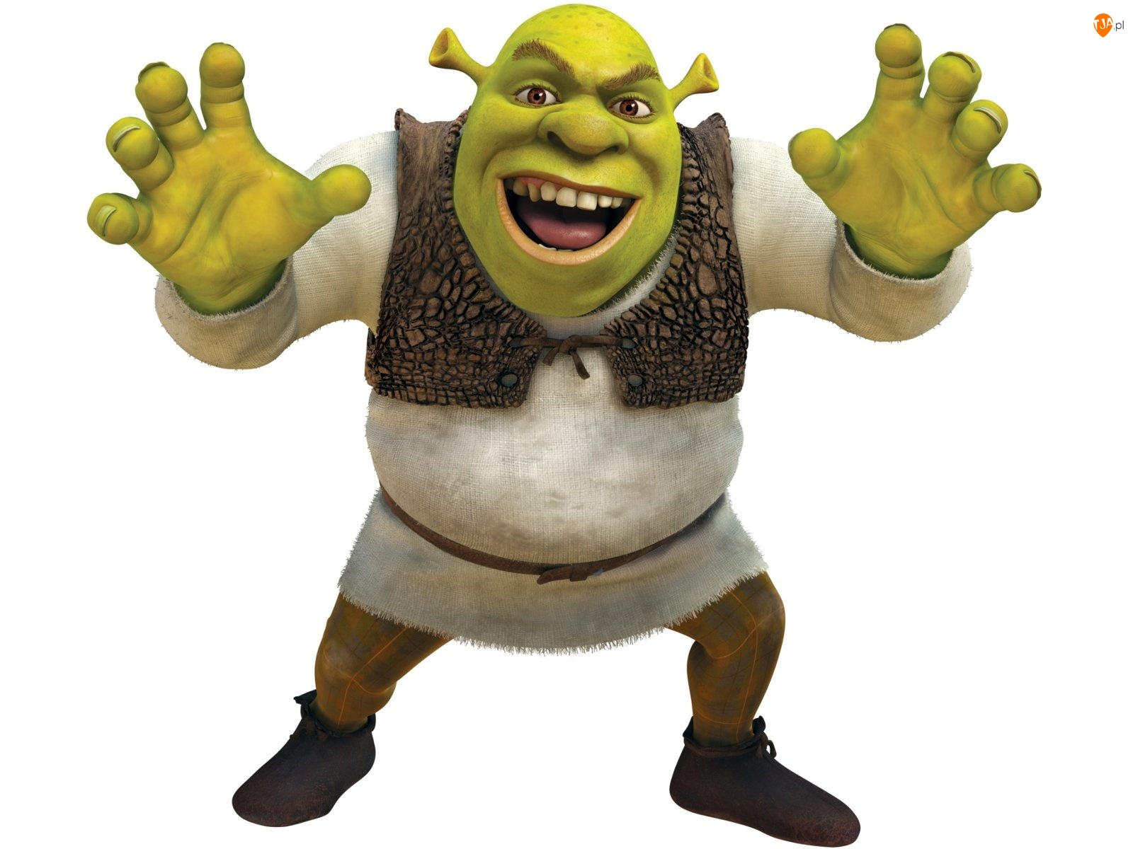 Ogr, Shrek