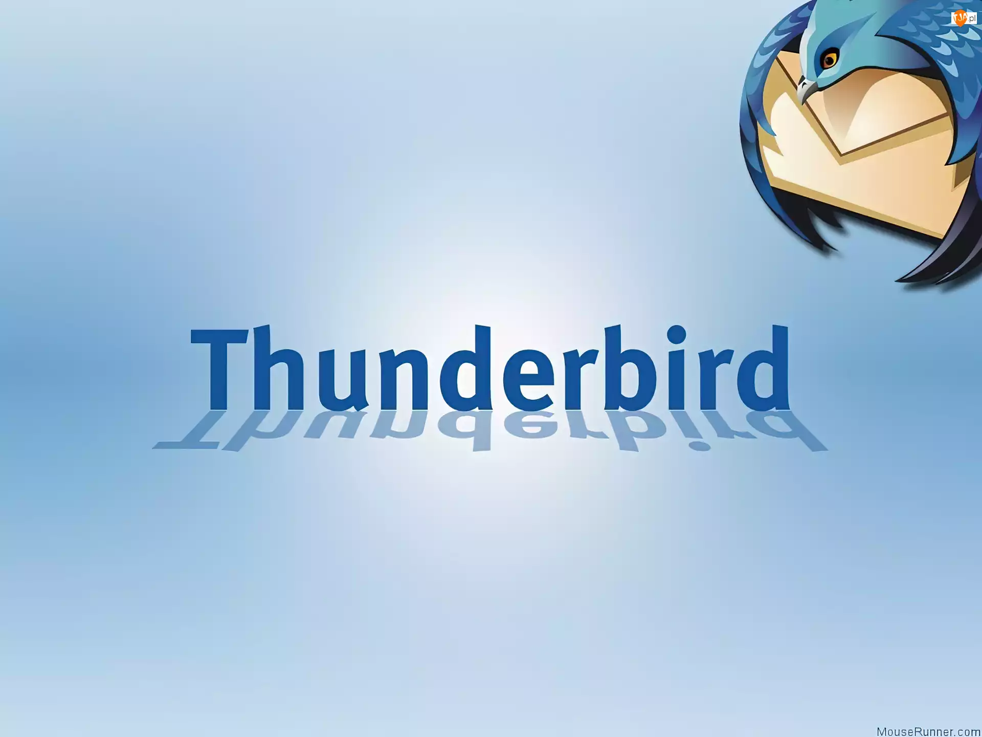 ptak, Thunderbird, koperta, grafika