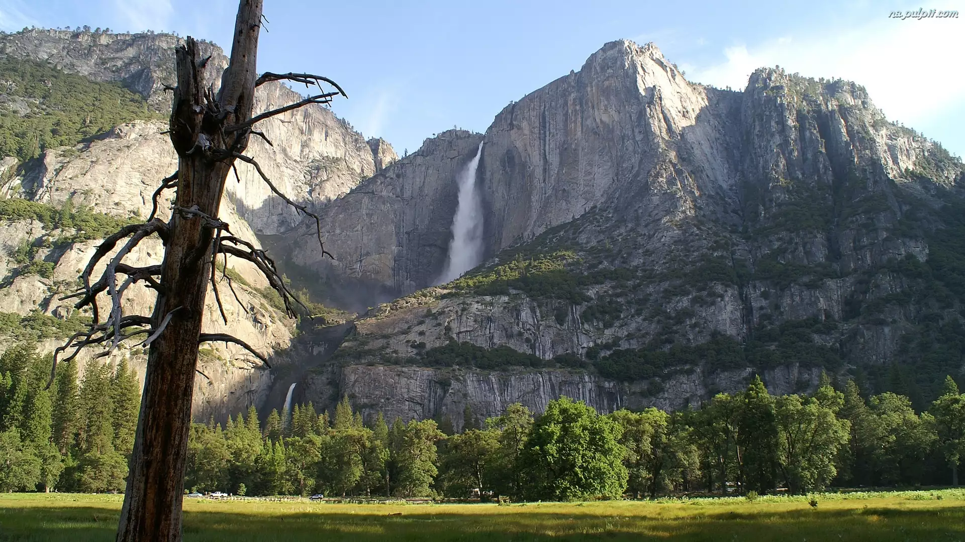 Park Narodowy Yosemite, Łąka, Stany Zjednoczone, Góry, Stan Kalifornia, Drzewa