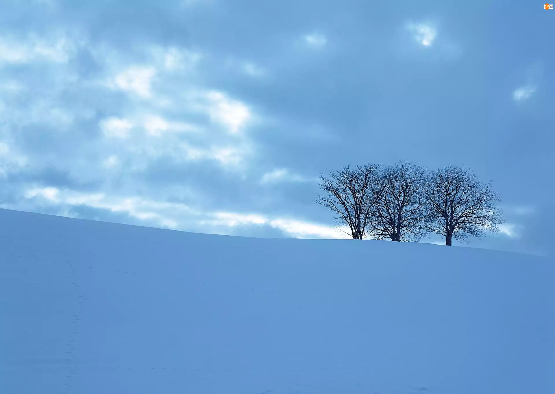 Zaspy, Śnieg, Drzewa, Mróz