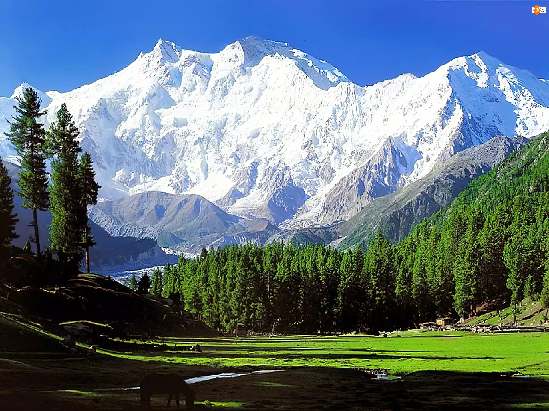 Nanga, Ośmiotysięcznik, Pakistan, Góry, Himalaje, Parbat