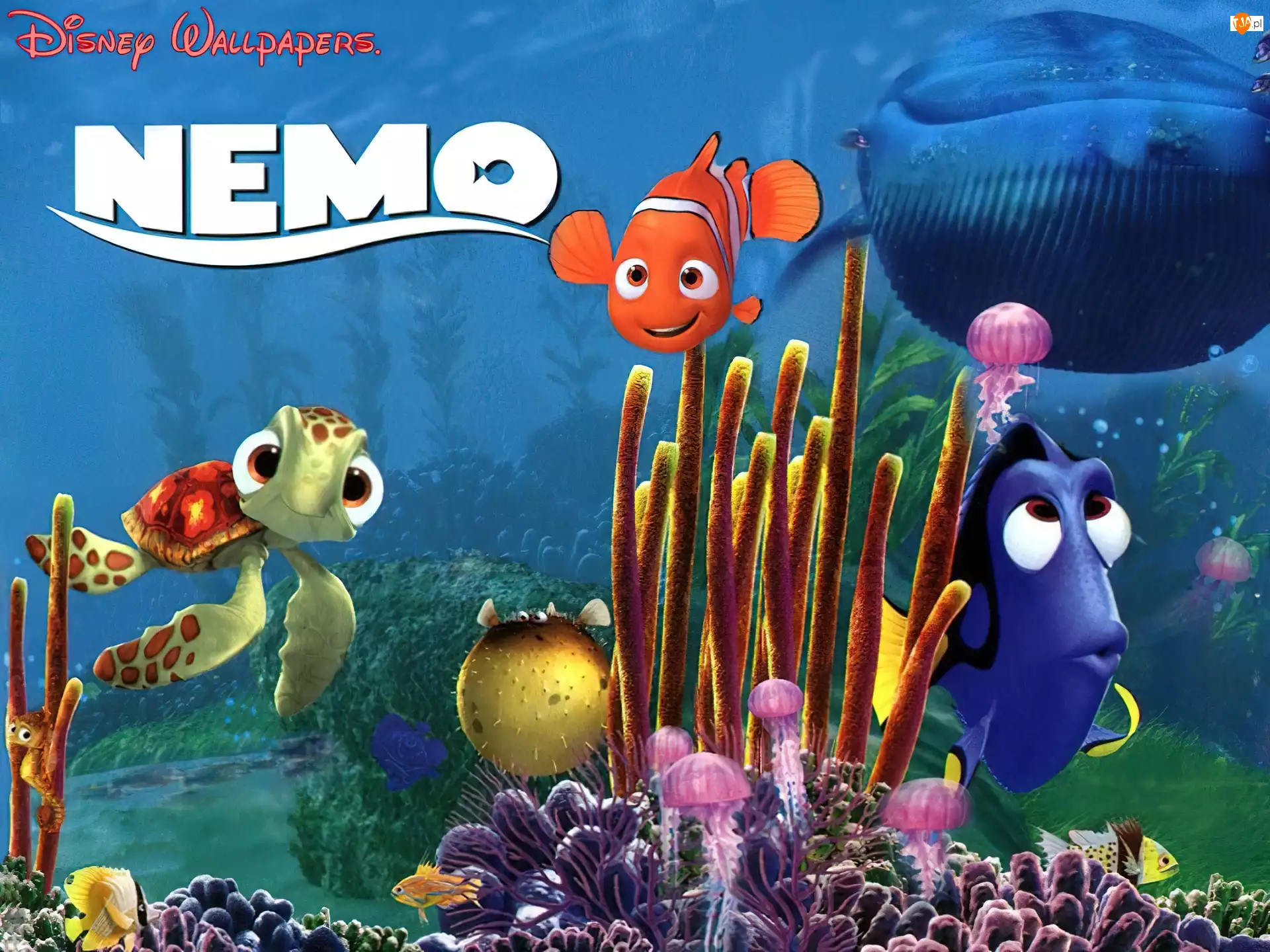 Bohaterowie, Gdzie jest Nemo, Finding Nemo