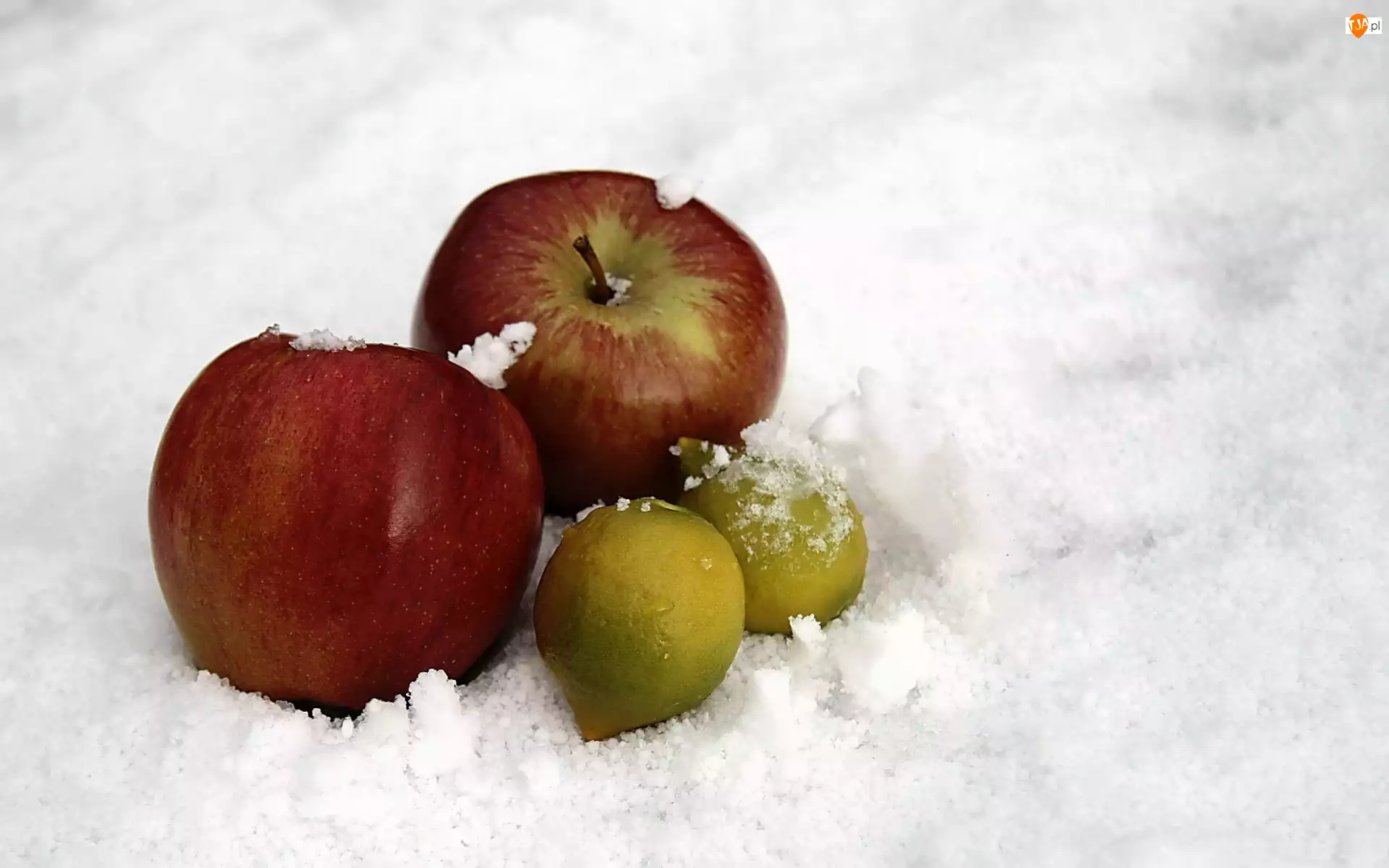 Śnieg, Jabłka, Cytrynki