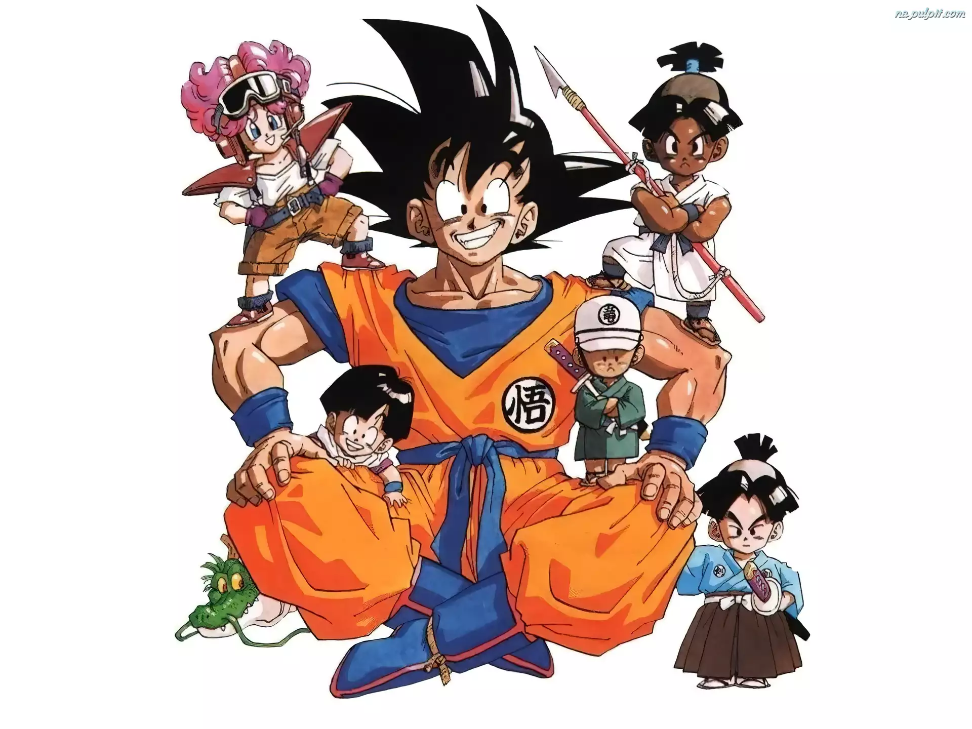 Dragon Ball Z, Son Goku, przyjaciele