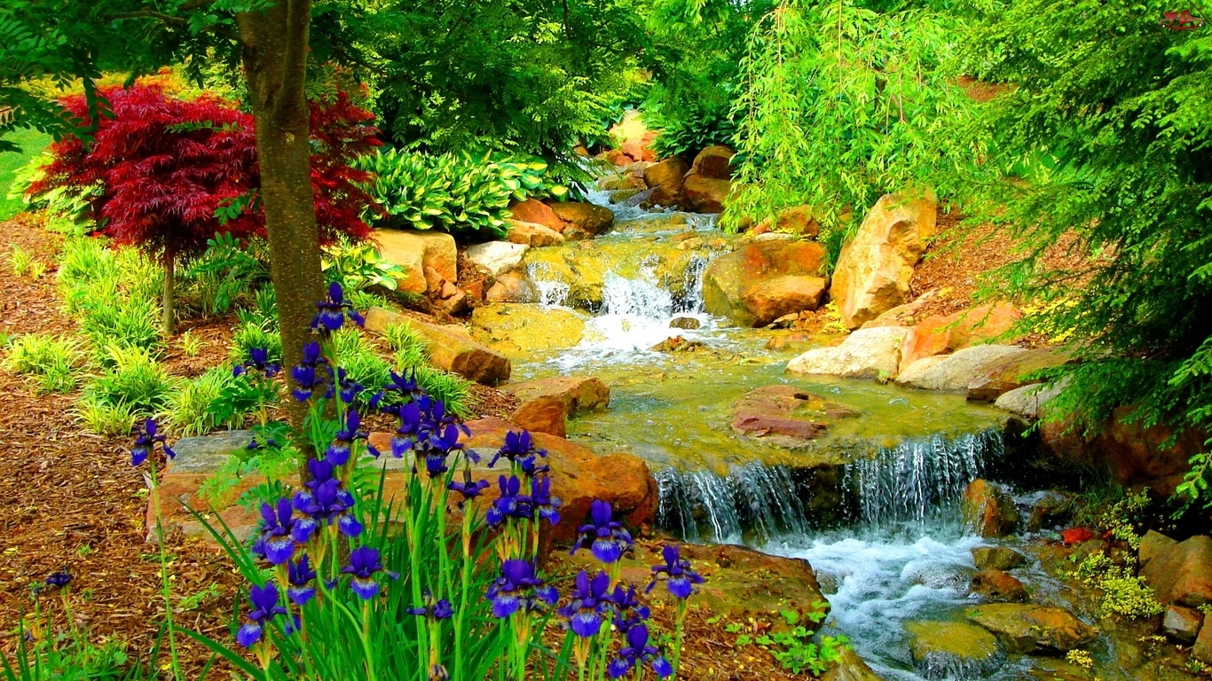Potok, Drzewa, Kwiaty, Kamienie