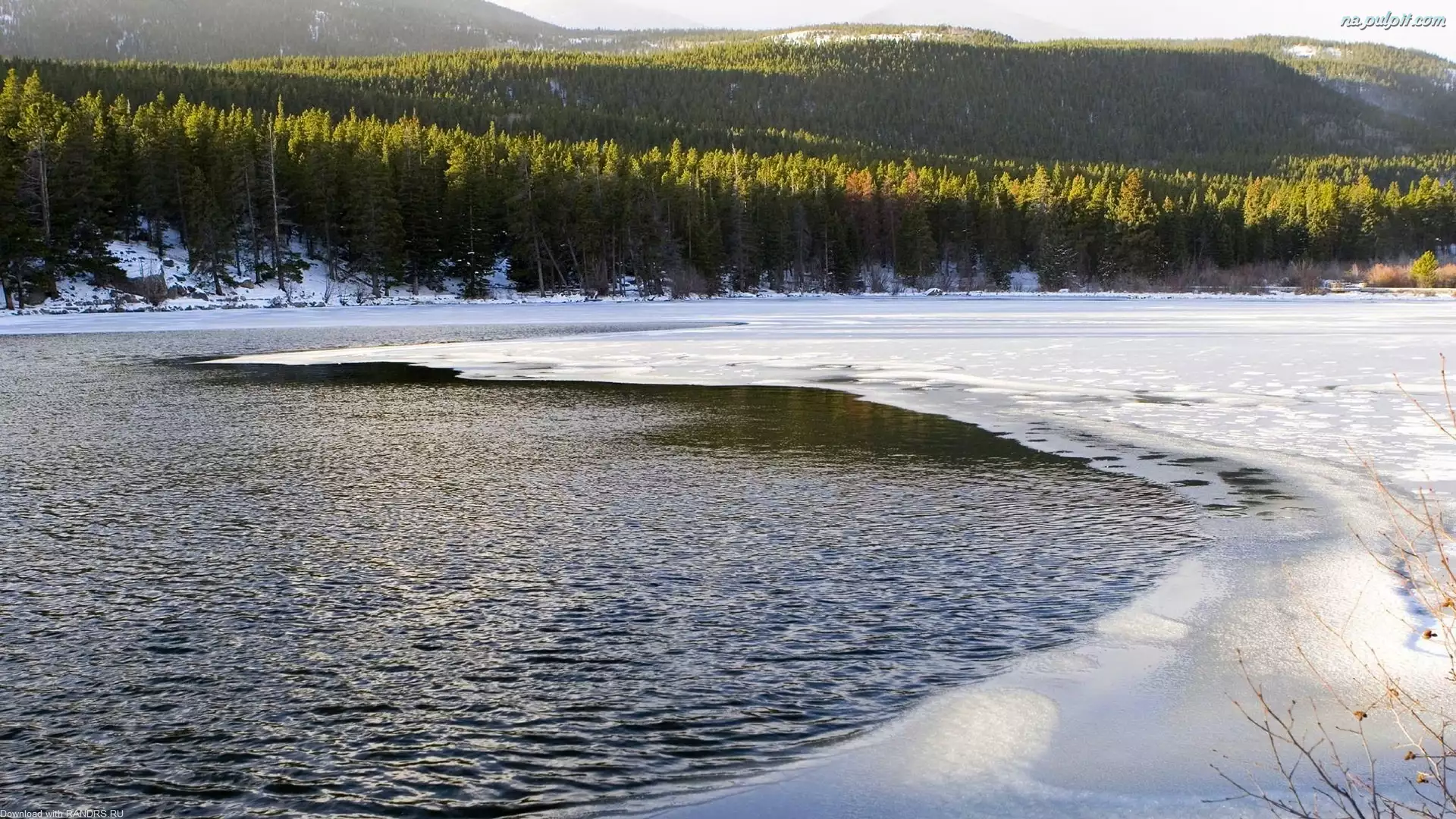 Las, Jezioro, Lód, Śnieg