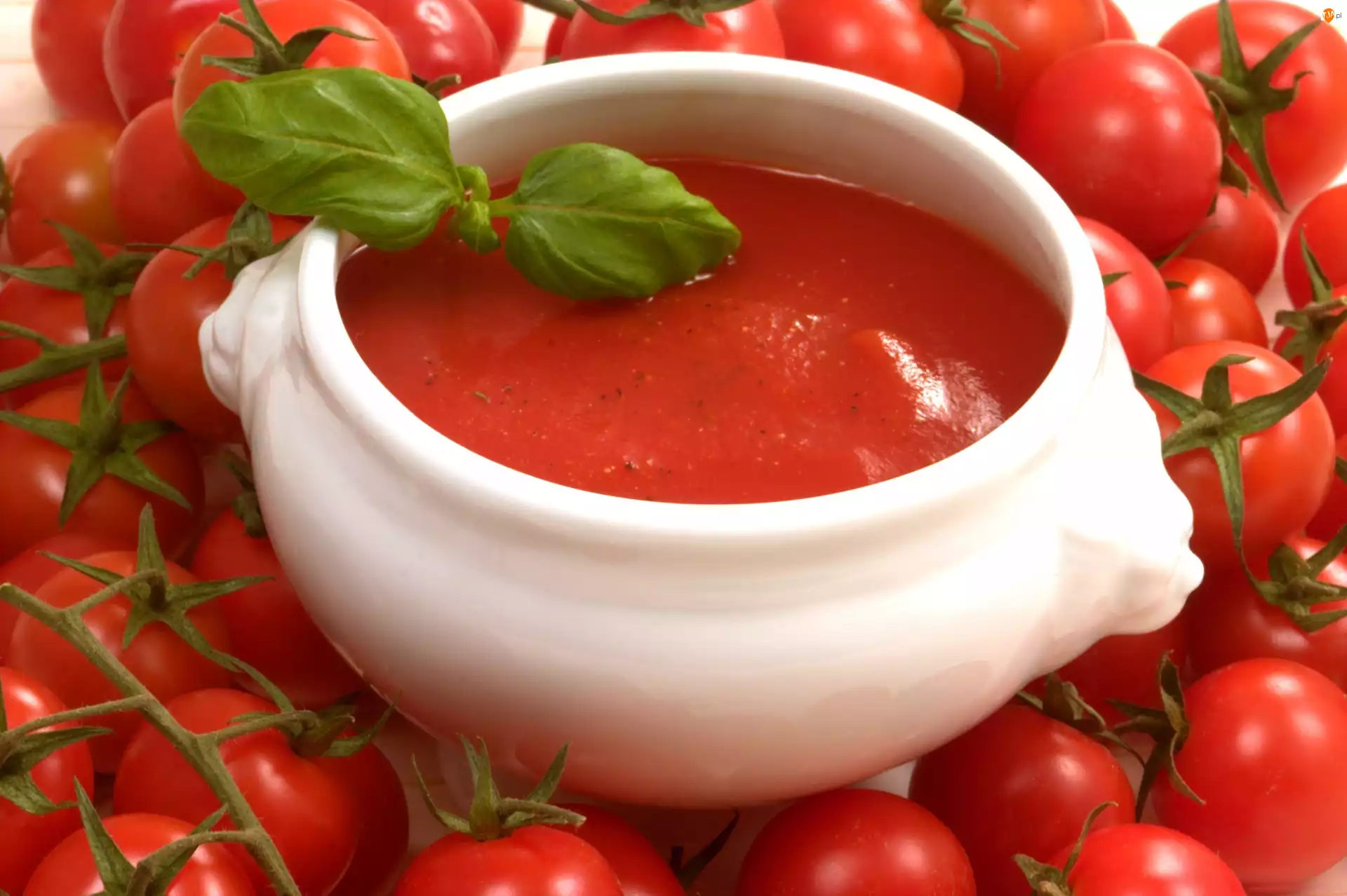 Pomidorowa, Pomidorki, Zupa