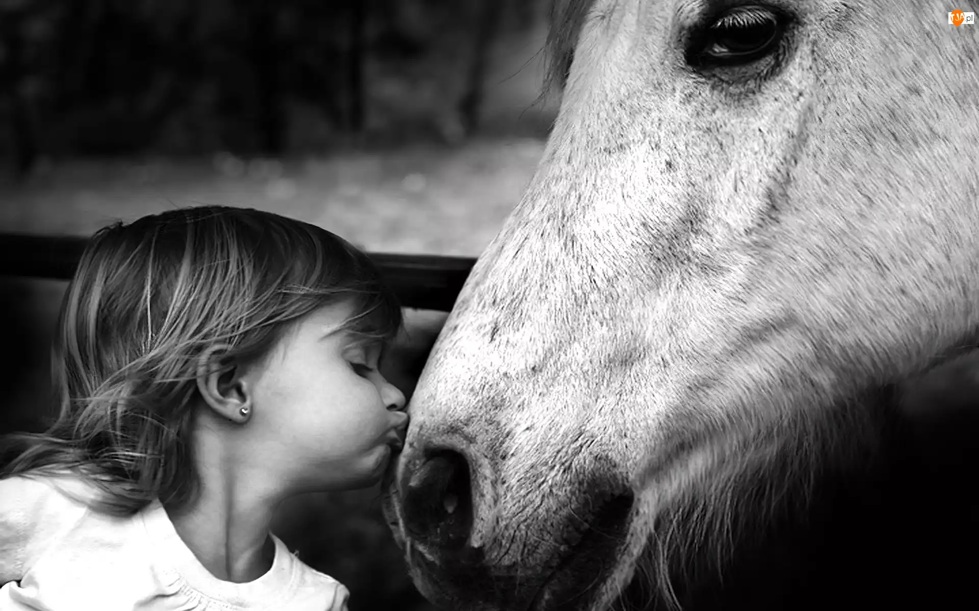 Buziak, Dziewczynka, Koń