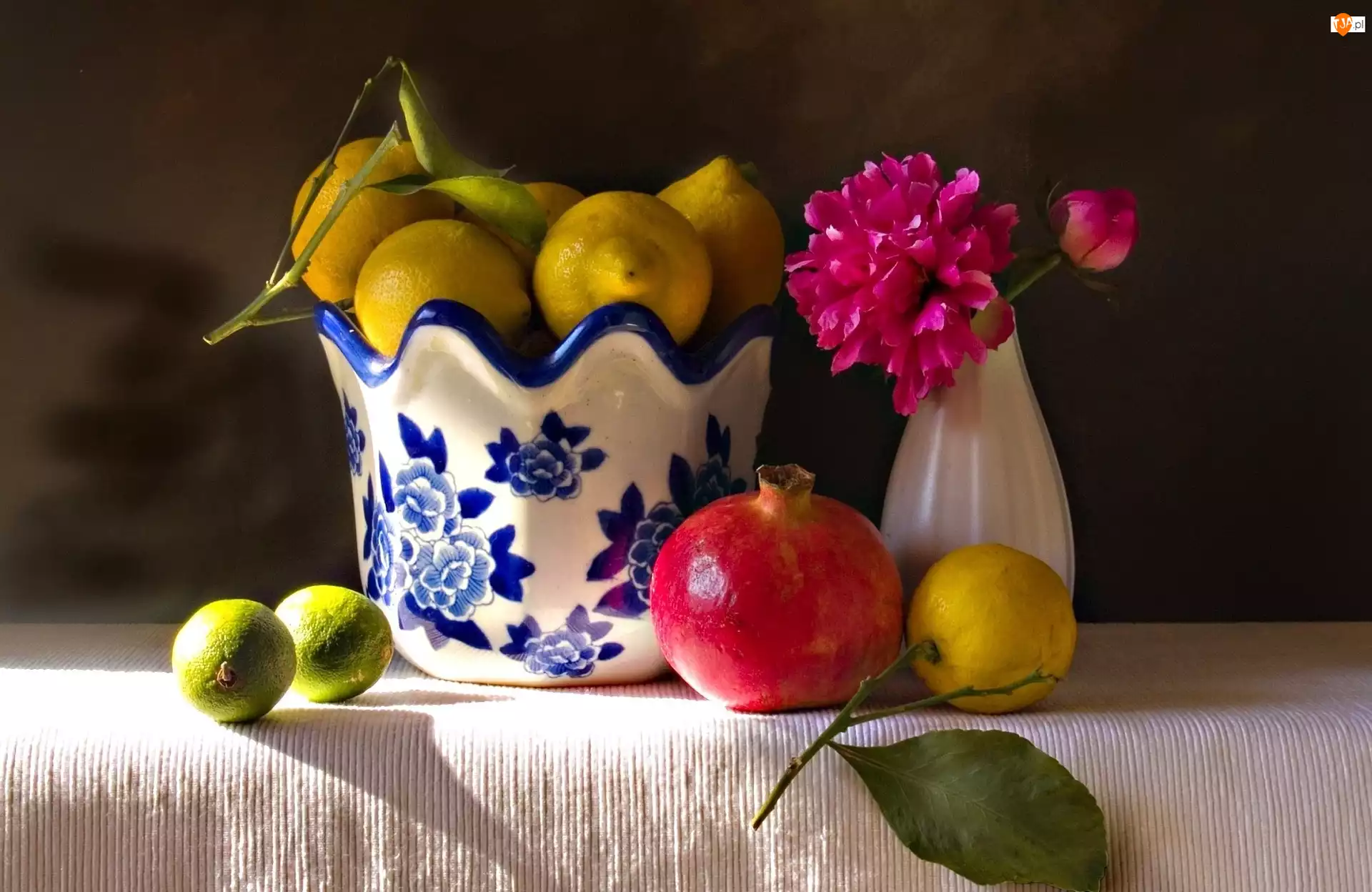 Porcelana, Kwiat, Cytryny, Granat