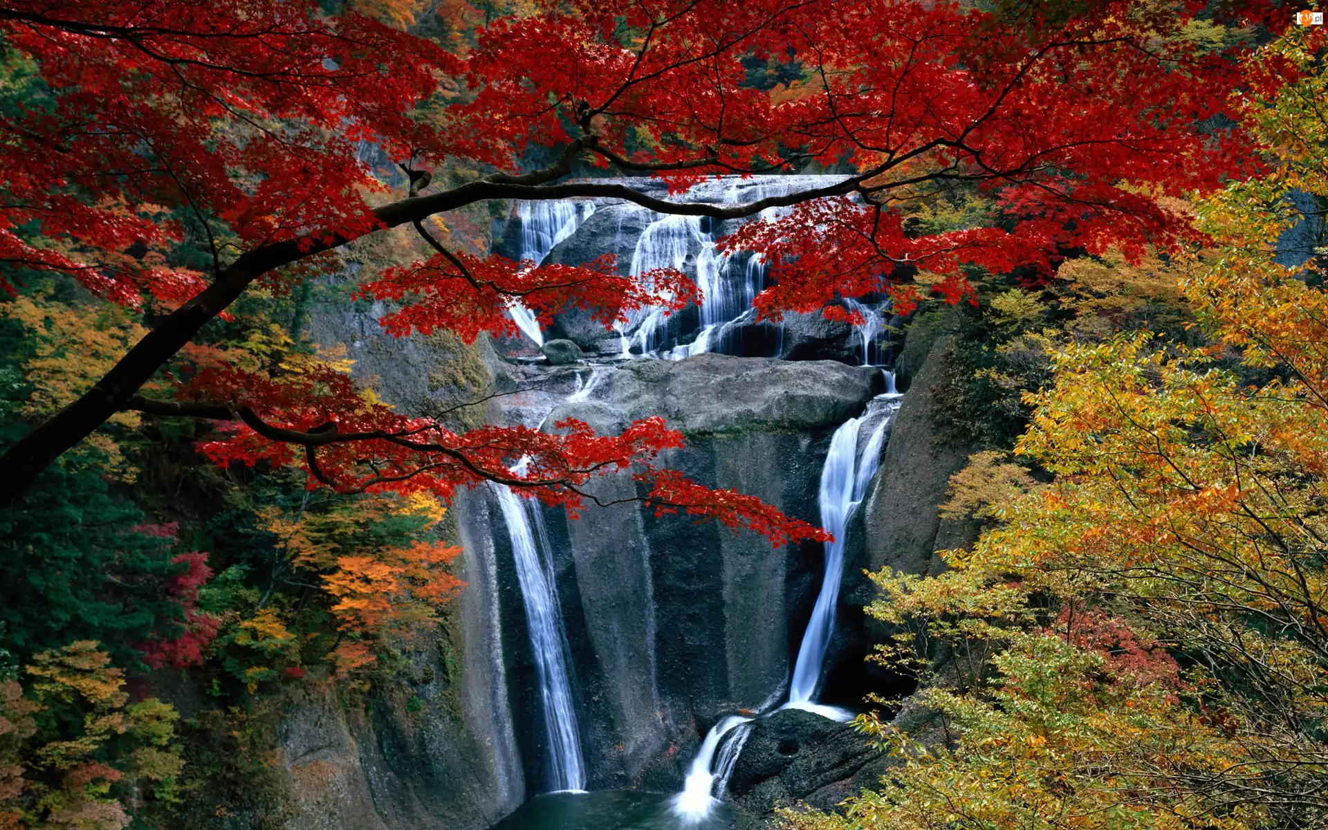 Wodospad, Jesień, Skały, Drzewa