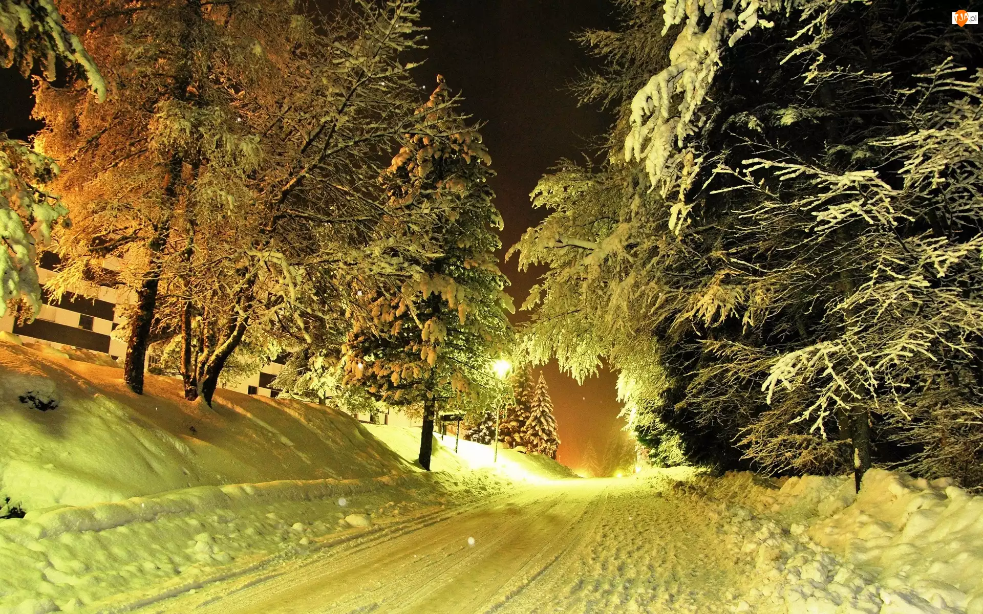 Śnieg, Droga, Drzewa